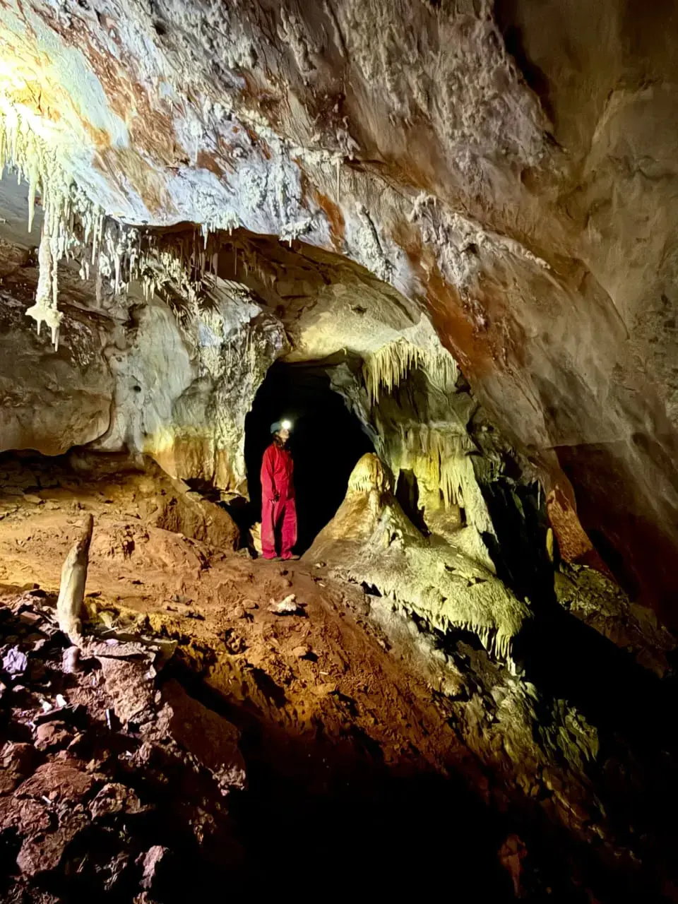 CPSS expedition